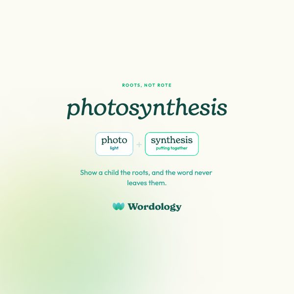 Social tile — etymology